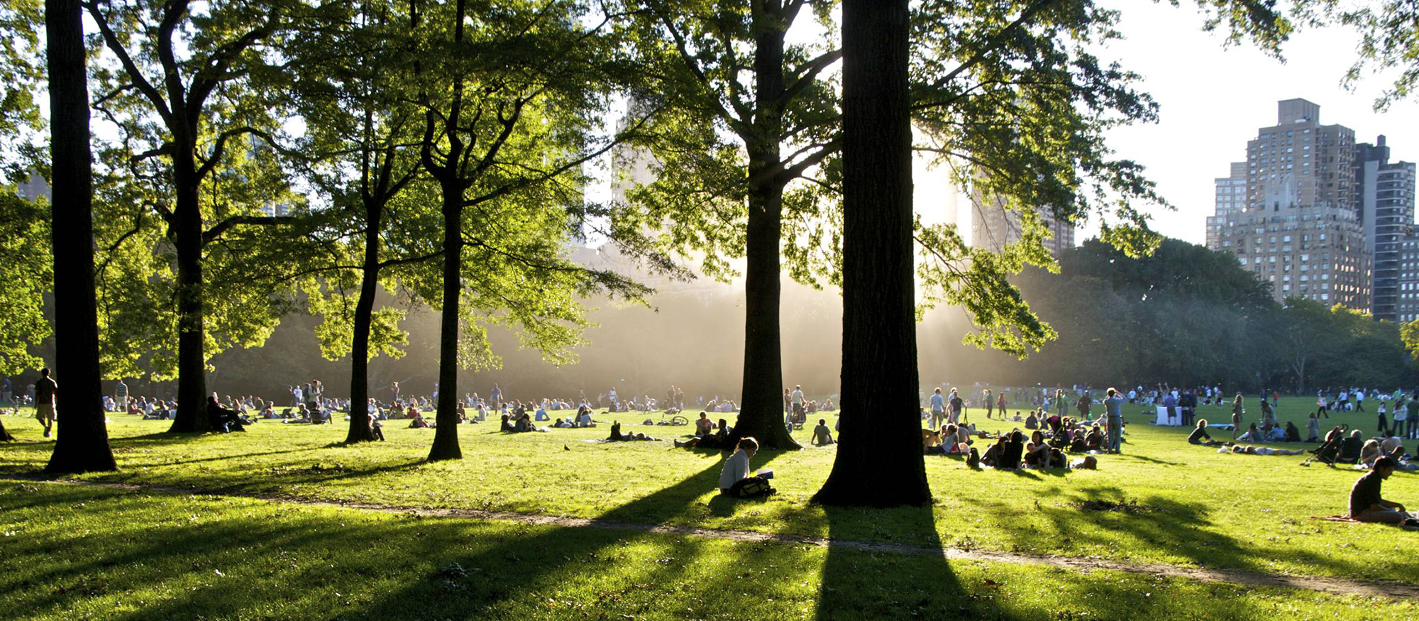 AFTERNOON Bloc Radio